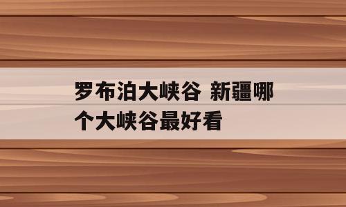 罗布泊大峡谷 新疆哪个大峡谷最好看