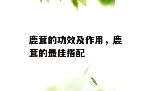 鹿茸的功效及作用，鹿茸的最佳搭配