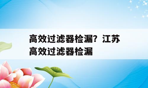 高效过滤器检漏？江苏高效过滤器检漏