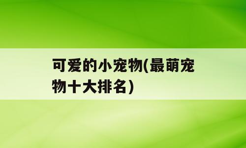 可爱的小宠物(最萌宠物十大排名)