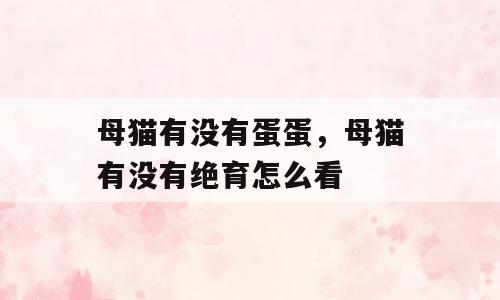 母猫有没有蛋蛋，母猫有没有绝育怎么看