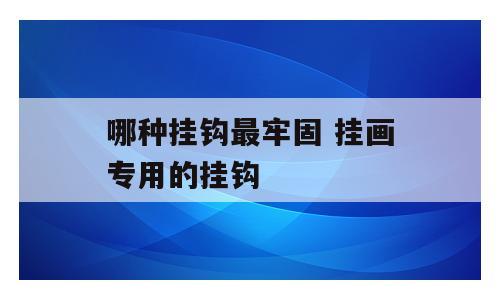 哪种挂钩最牢固 挂画专用的挂钩