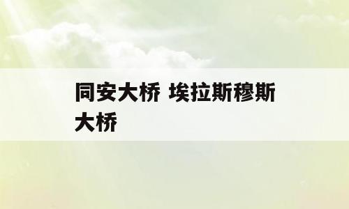 同安大桥 埃拉斯穆斯大桥