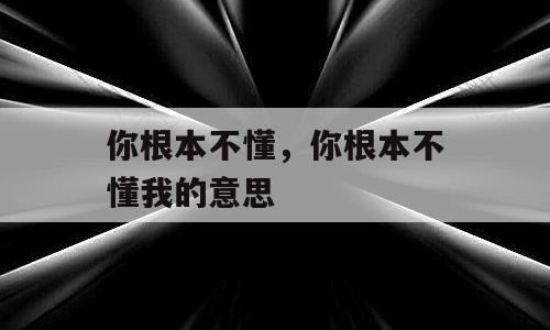 你根本不懂，你根本不懂我的意思