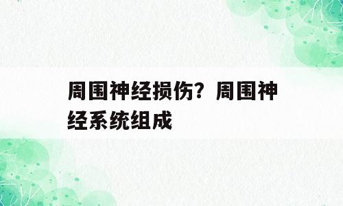 周围神经损伤？周围神经系统组成