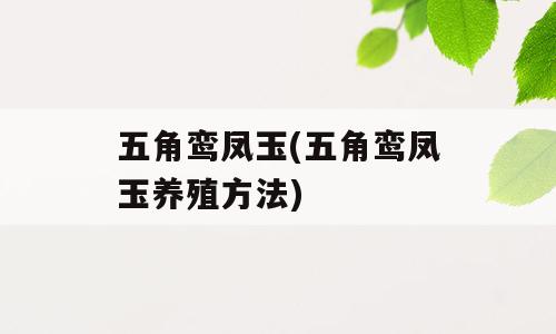 五角鸾凤玉(五角鸾凤玉养殖方法)