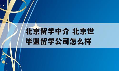 北京留学中介 北京世毕盟留学公司怎么样