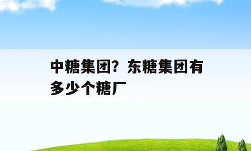 中糖集团？东糖集团有多少个糖厂
