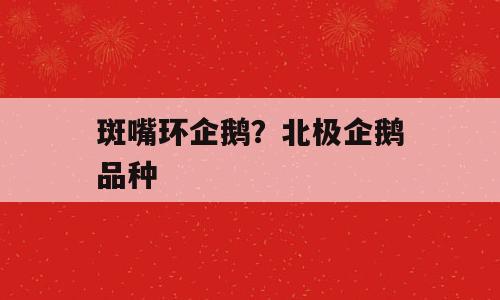 斑嘴环企鹅？北极企鹅品种