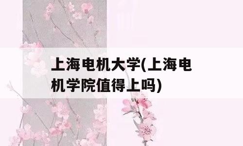 上海电机大学(上海电机学院值得上吗)