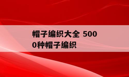 帽子编织大全 5000种帽子编织
