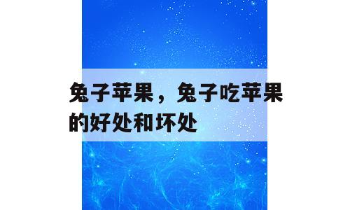 兔子苹果，兔子吃苹果的好处和坏处
