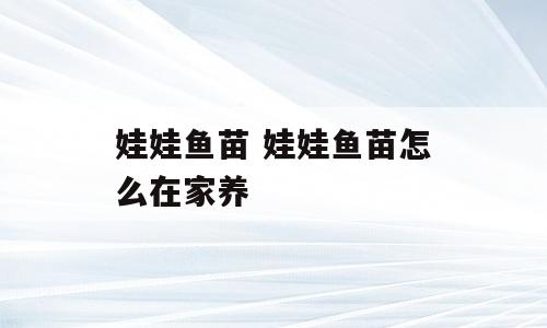 娃娃鱼苗 娃娃鱼苗怎么在家养