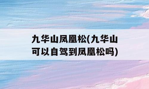 九华山凤凰松(九华山可以自驾到凤凰松吗)