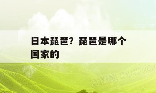 日本琵琶？琵琶是哪个国家的