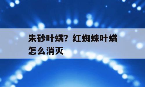 朱砂叶螨？红蜘蛛叶螨怎么消灭