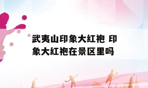 武夷山印象大红袍 印象大红袍在景区里吗