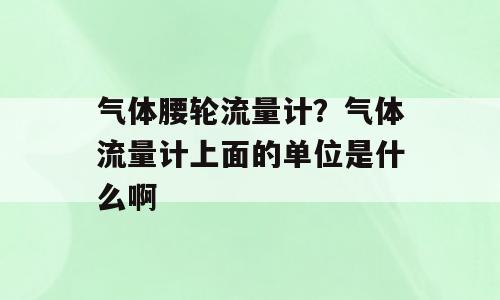 气体腰轮流量计？气体流量计上面的单位是什么啊