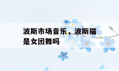波斯市场音乐，波斯猫是女团舞吗