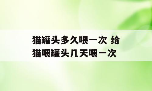猫罐头多久喂一次 给猫喂罐头几天喂一次