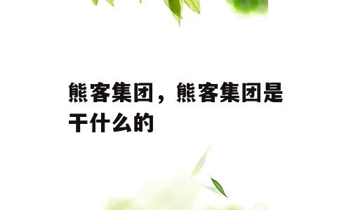 熊客集团，熊客集团是干什么的