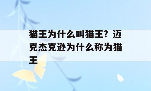 猫王为什么叫猫王？迈克杰克逊为什么称为猫王
