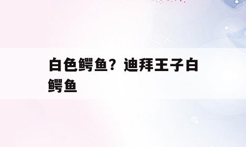 白色鳄鱼？迪拜王子白鳄鱼