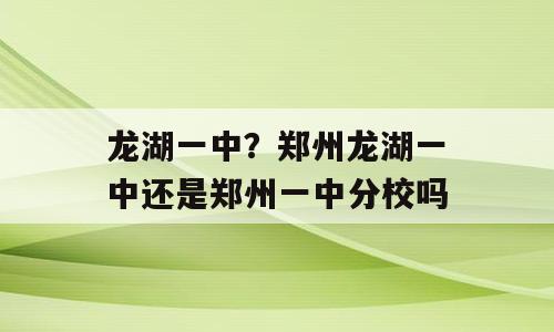 龙湖一中？郑州龙湖一中还是郑州一中分校吗