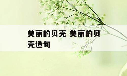 美丽的贝壳 美丽的贝壳造句