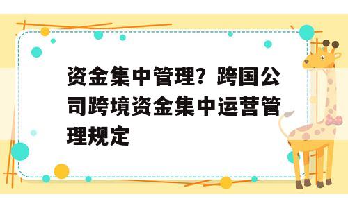 资金集中管理？跨国公司跨境资金集中运营管理规定
