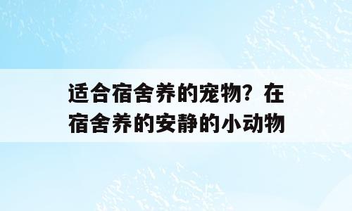 适合宿舍养的宠物？在宿舍养的安静的小动物