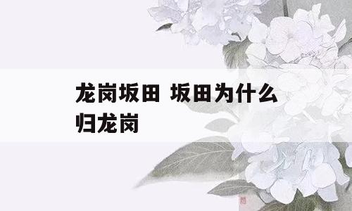 龙岗坂田 坂田为什么归龙岗