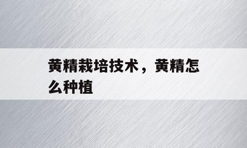 黄精栽培技术，黄精怎么种植