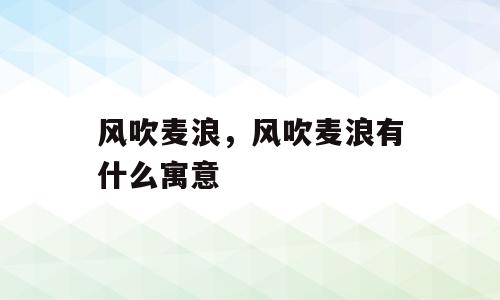 风吹麦浪，风吹麦浪有什么寓意