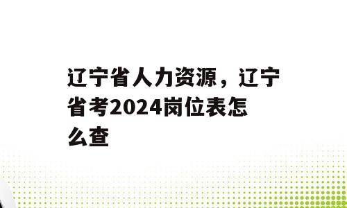 辽宁省人力资源，辽宁省考2024岗位表怎么查