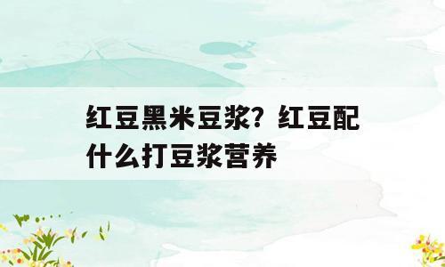 红豆黑米豆浆？红豆配什么打豆浆营养