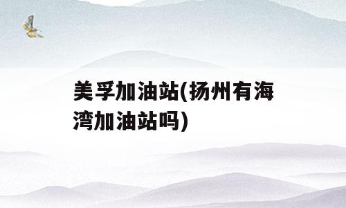 美孚加油站(扬州有海湾加油站吗)