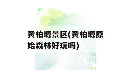 黄柏塬景区(黄柏塬原始森林好玩吗)