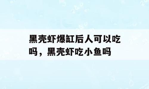 黑壳虾爆缸后人可以吃吗，黑壳虾吃小鱼吗