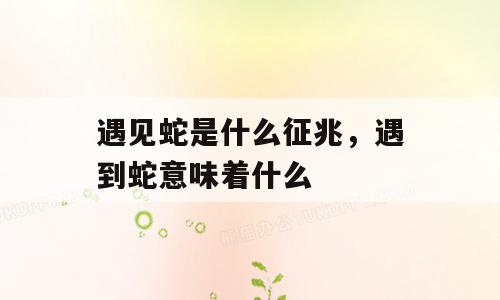 遇见蛇是什么征兆，遇到蛇意味着什么