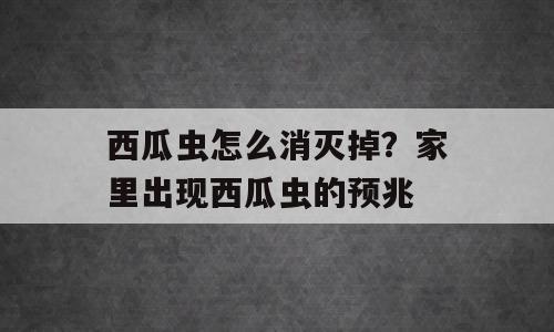 西瓜虫怎么消灭掉？家里出现西瓜虫的预兆
