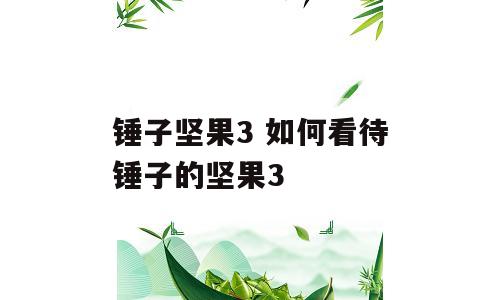 锤子坚果3 如何看待锤子的坚果3