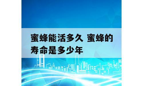 蜜蜂能活多久 蜜蜂的寿命是多少年