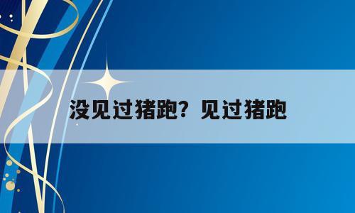 没见过猪跑？见过猪跑