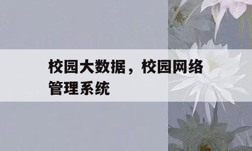 校园大数据，校园网络管理系统