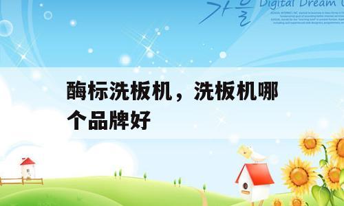 酶标洗板机，洗板机哪个品牌好
