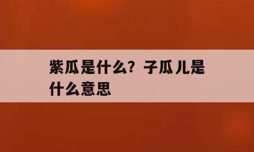 紫瓜是什么？子瓜儿是什么意思