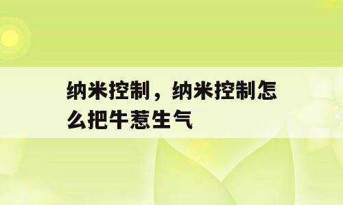 纳米控制，纳米控制怎么把牛惹生气