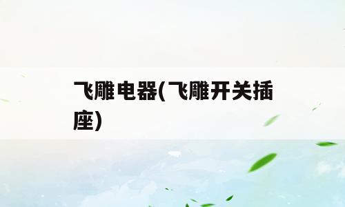 飞雕电器(飞雕开关插座)