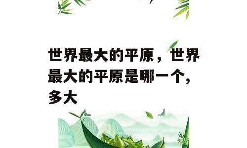 世界最大的平原，世界最大的平原是哪一个,多大